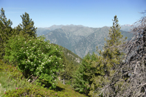 Vistes a la serra d´Enclar des del camí dels Certeresos.