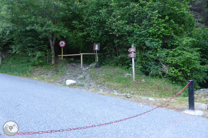 Camí de Prat Primer i bosc de la Caülla 1 