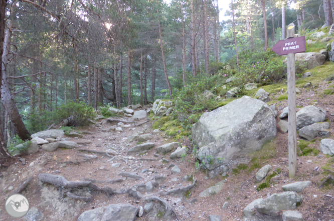 Camí de Prat Primer i bosc de la Caülla 1 