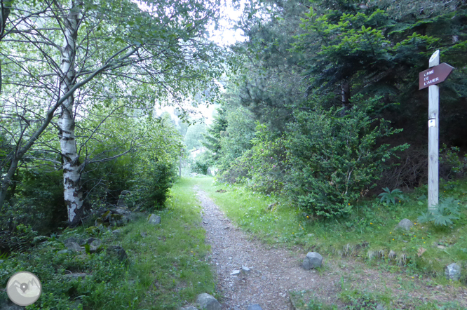 Camí de Prat Primer i bosc de la Caülla 1 