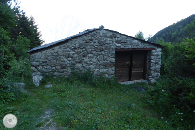 Camí de Prat Primer i bosc de la Caülla 1 