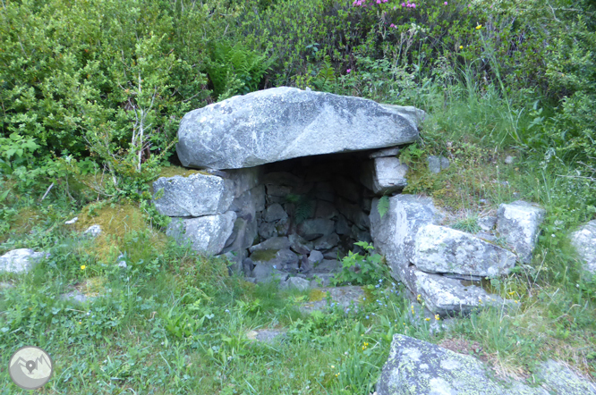 Camí de Prat Primer i bosc de la Caülla 1 