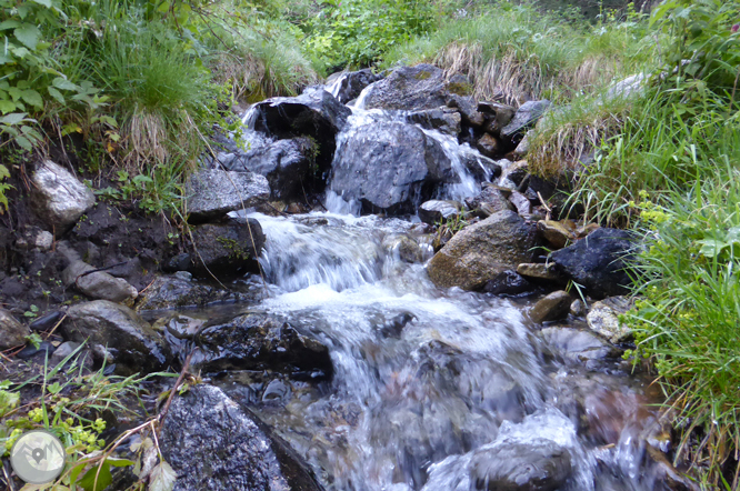 Camí de Prat Primer i bosc de la Caülla 1 