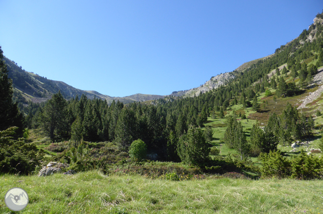 Camí de Prat Primer i bosc de la Caülla 1 