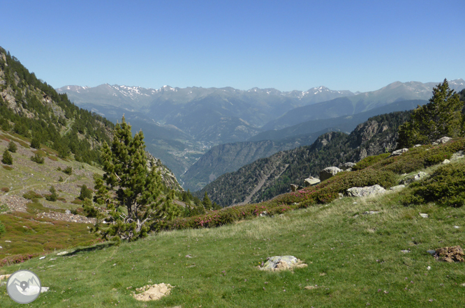 Camí de Prat Primer i bosc de la Caülla 1 