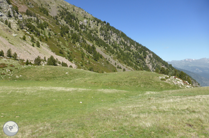 Camí de Prat Primer i bosc de la Caülla 1 