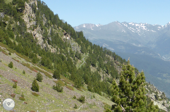 Camí de Prat Primer i bosc de la Caülla 1 