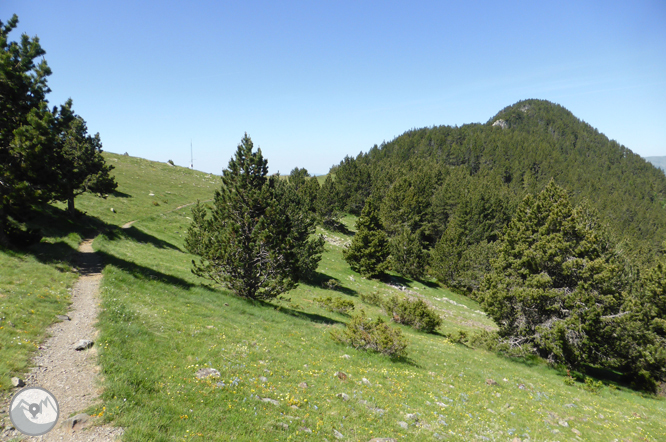 Camí de Prat Primer i bosc de la Caülla 1 