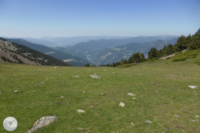 Camí de Prat Primer i bosc de la Caülla 1 