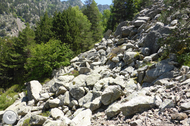 Camí de Prat Primer i bosc de la Caülla 1 