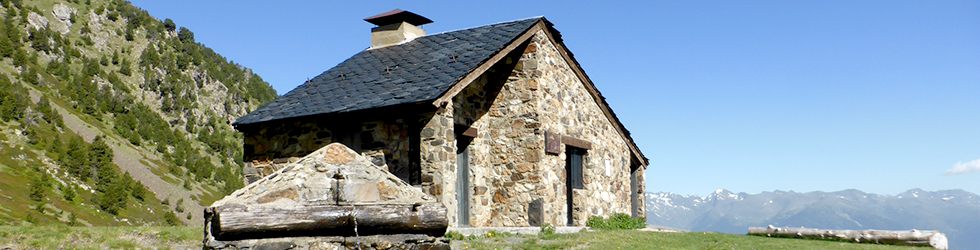 Camí de Prat Primer i bosc de la Caülla