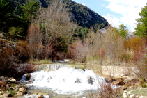 Aigües amunt del Cardener.