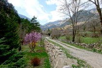 Camí a les fonts del Cardener.