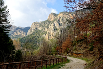 Parets calcàries prop de les fonts del Cardener.