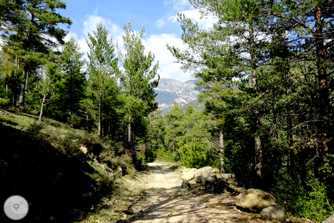 Camí Verd de la Vall de Lord - Fonts del Cardener 1 