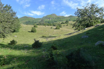 Últims metres abans d´empalmar de nou amb el camí de marcat.