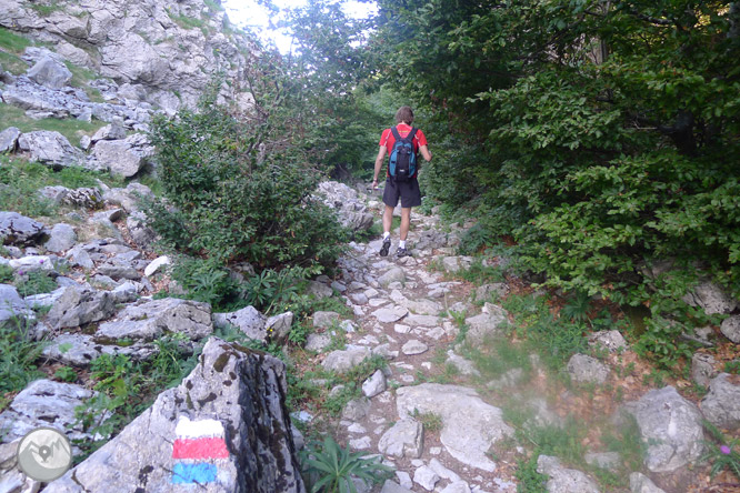 Camí de Zemeto a la vall de Roncal-Belagua 1 