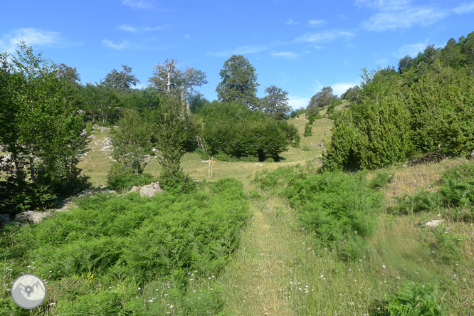 Camí de Zemeto a la vall de Roncal-Belagua 1 