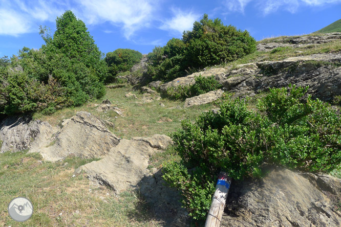 Camí de Zemeto a la vall de Roncal-Belagua 1 