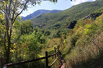 Camí de baixada cap al Pont de Suert.