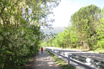 Caminem pel camí que avança en paral·lel a la carretera C-13.