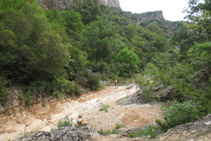 Creuem el barranc del bosc i canviem de vessant.