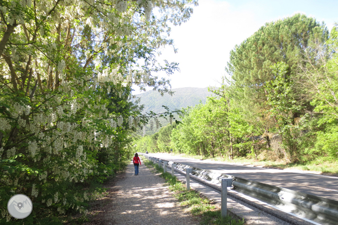 Camí del barranc del Bosc i Roca Regina 1 