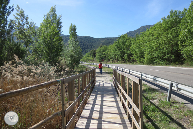 Camí del barranc del Bosc i Roca Regina 1 