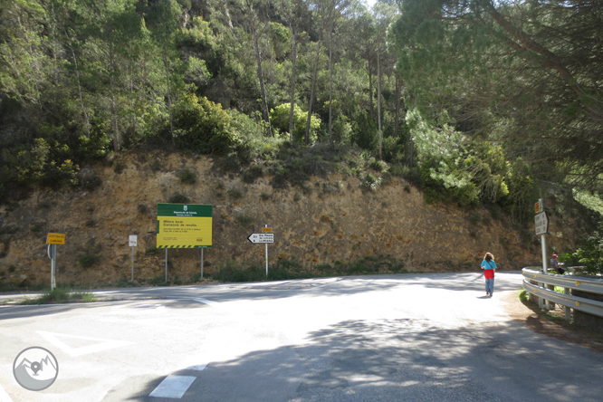 Camí del barranc del Bosc i Roca Regina 1 