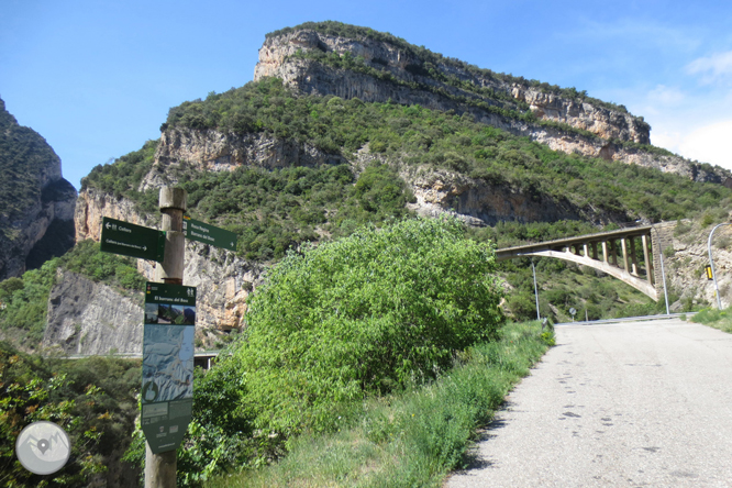 Camí del barranc del Bosc i Roca Regina 1 