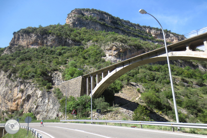 Camí del barranc del Bosc i Roca Regina 1 