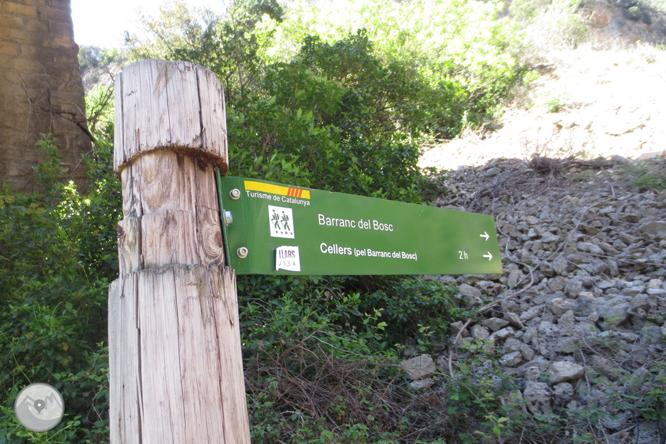 Camí del barranc del Bosc i Roca Regina 1 