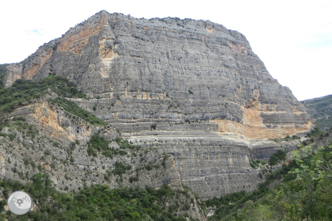 Camí del barranc del Bosc i Roca Regina 1 