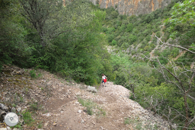 Camí del barranc del Bosc i Roca Regina 1 