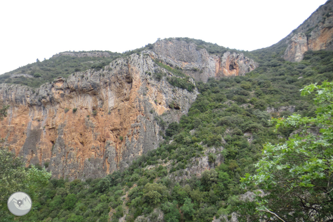 Camí del barranc del Bosc i Roca Regina 1 