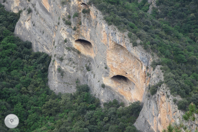 Camí del barranc del Bosc i Roca Regina 1 