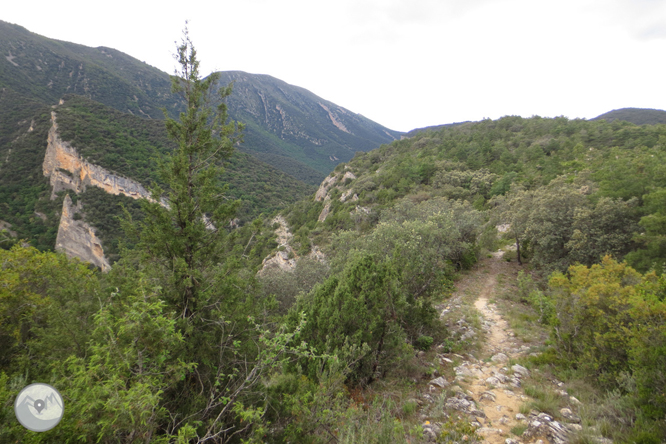 Camí del barranc del Bosc i Roca Regina 1 