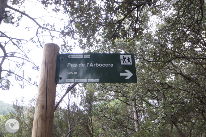 Camí del barranc del Bosc i Roca Regina 1 