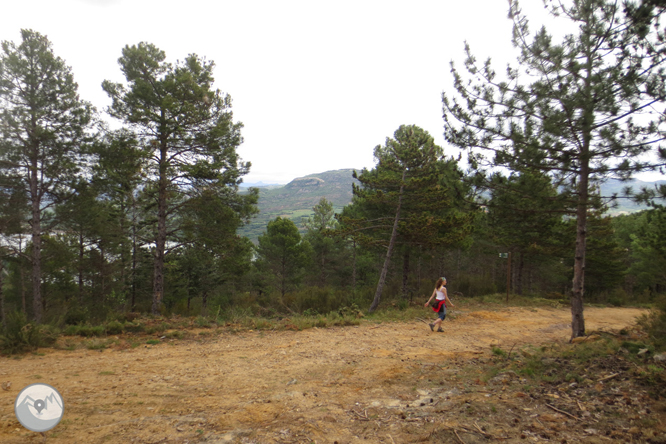 Camà del barranc del Bosc i Roca Regina 1