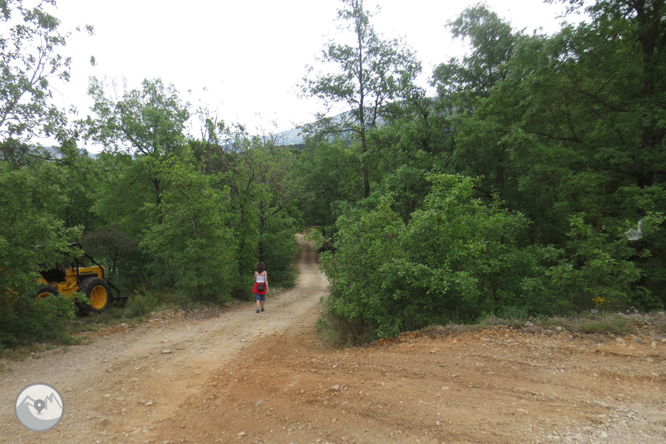 Camà del barranc del Bosc i Roca Regina 1