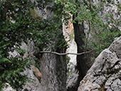 Camí del Portús des d