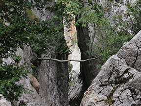 Camí del Portús des d´Adons