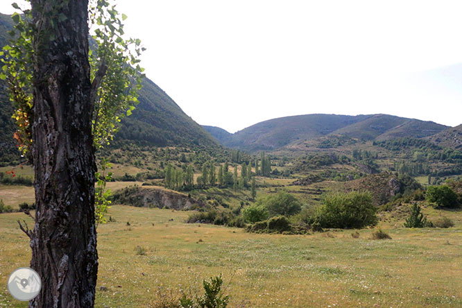 Camí del Portús des d