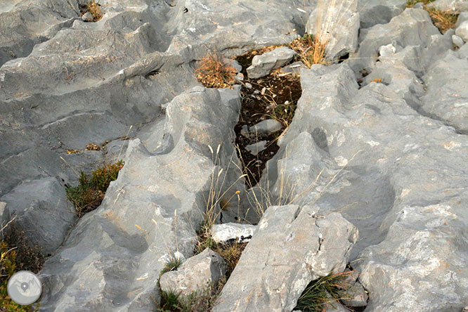 Camí del Portús des d