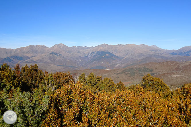 Camí del Portús des d