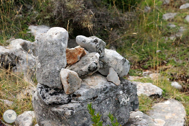 Camí del Portús des d