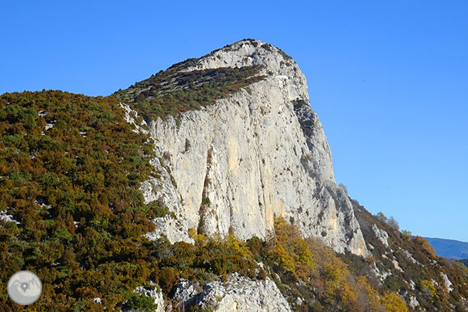 Camí del Portús des d