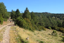 Ja veiem el refugi al fons (per entre el bosc).