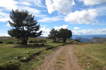 Part de la baixada es fa per la mateixa pista per on hem pujat abans.