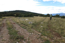 Deixem la pista per on veníem i agafem a mà dreta (fita) la pista que avança cap a la serra del Banyader.